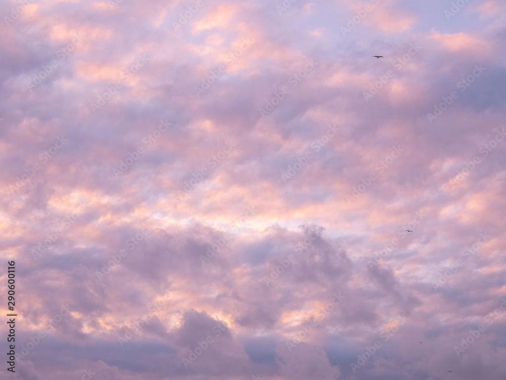 sky with clouds. backboard