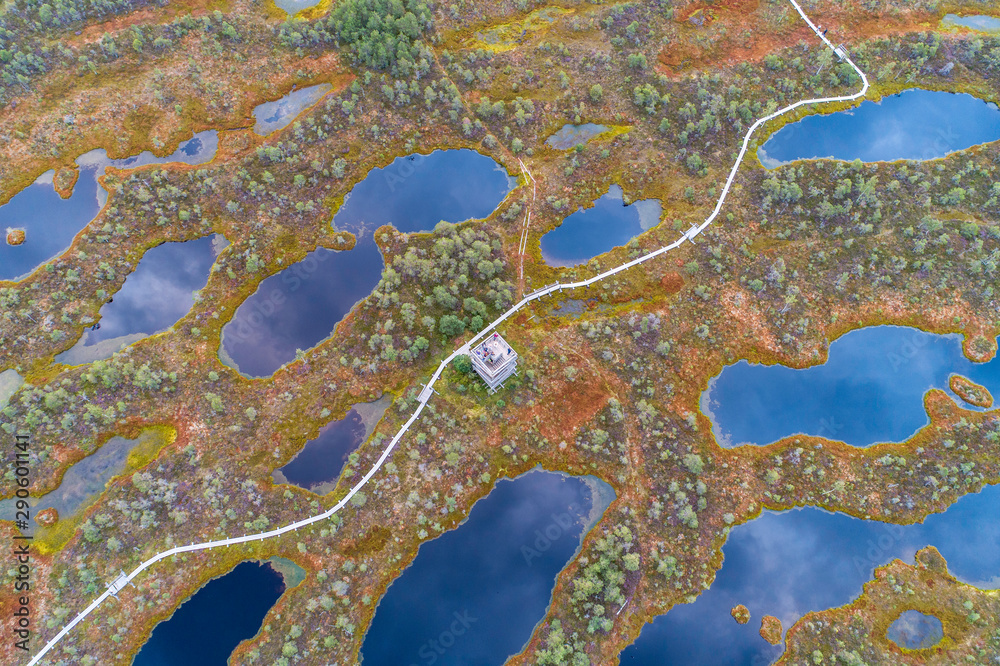 Aerial view of swamp and wooden path in Kemeri national park during sunrise. (high ISO image)
