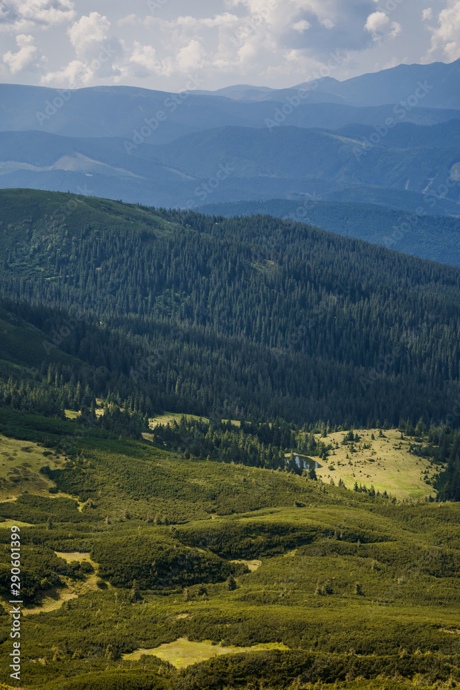 Carpathian mountains in the summer Ukraine