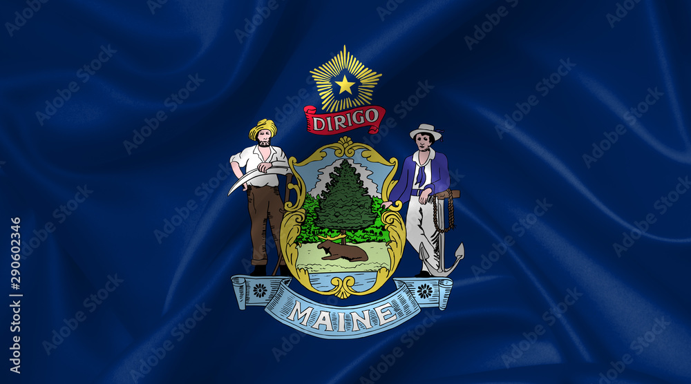 Obraz premium maine flag