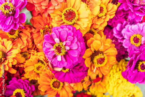 USA  Washington State  Vancouver. Fresh cut flowers for sale at a farmers market.