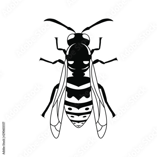 Insect wasp, black wasp silhouette. A stinging insect, an insect pest. Flat design. Vector