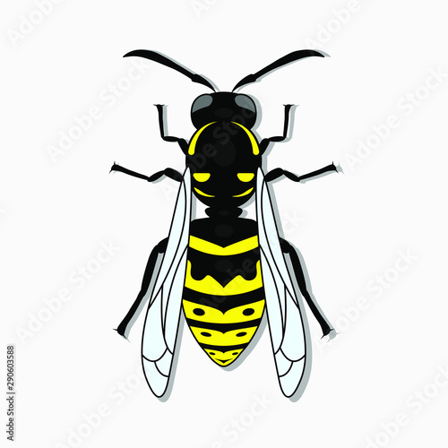 Insect wasp, black and yellow wasp silhouette. A stinging insect, an insect pest. Flat design. Vector