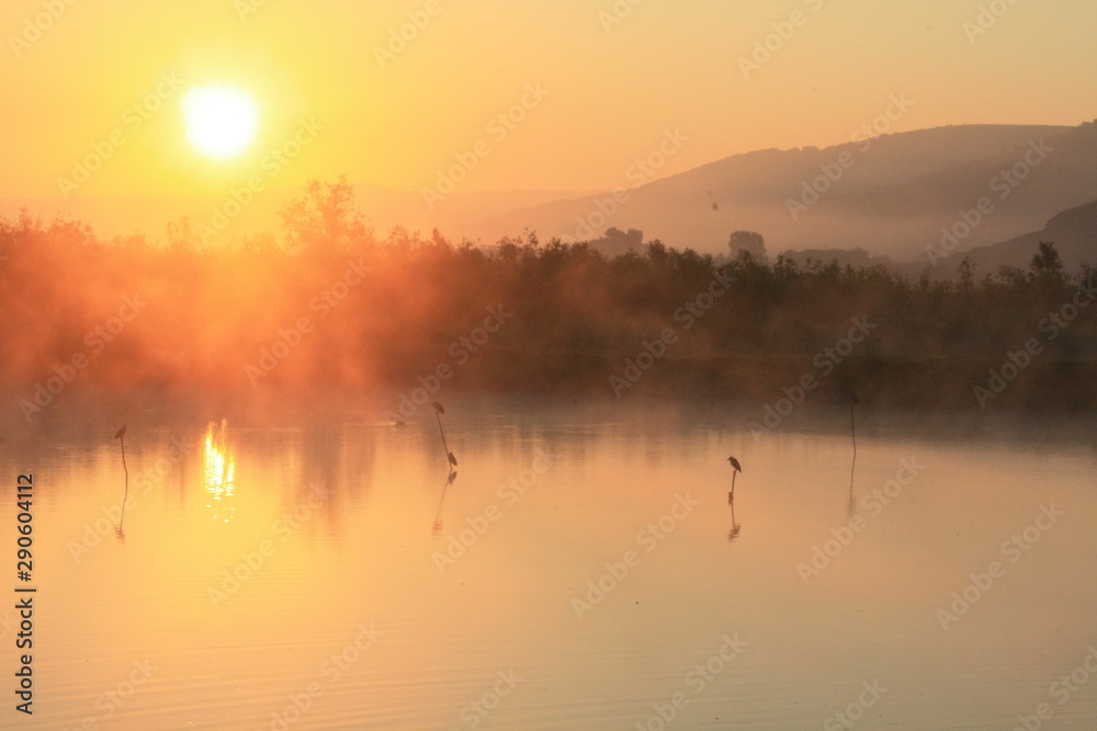 sunrise with fog on the lake sunrise with fog on the lake