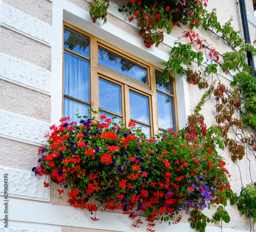 wooden window reflecting the sky with hanging red flowers