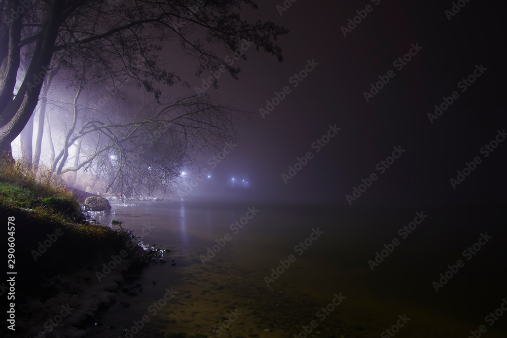 Night lake lights lanterns in the mist trees crowns ice winter landscape