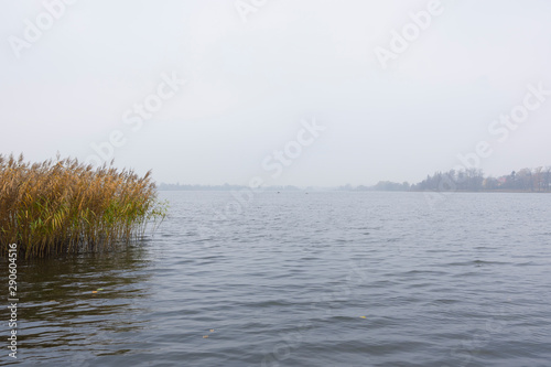 Landscape with a lake during the fog mist; plants water boats fishing view, beautiful sky clouds calm leisure reeds