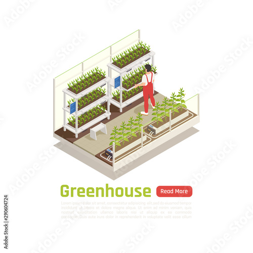 Hydroponics Greenhouse Isometric Composition 