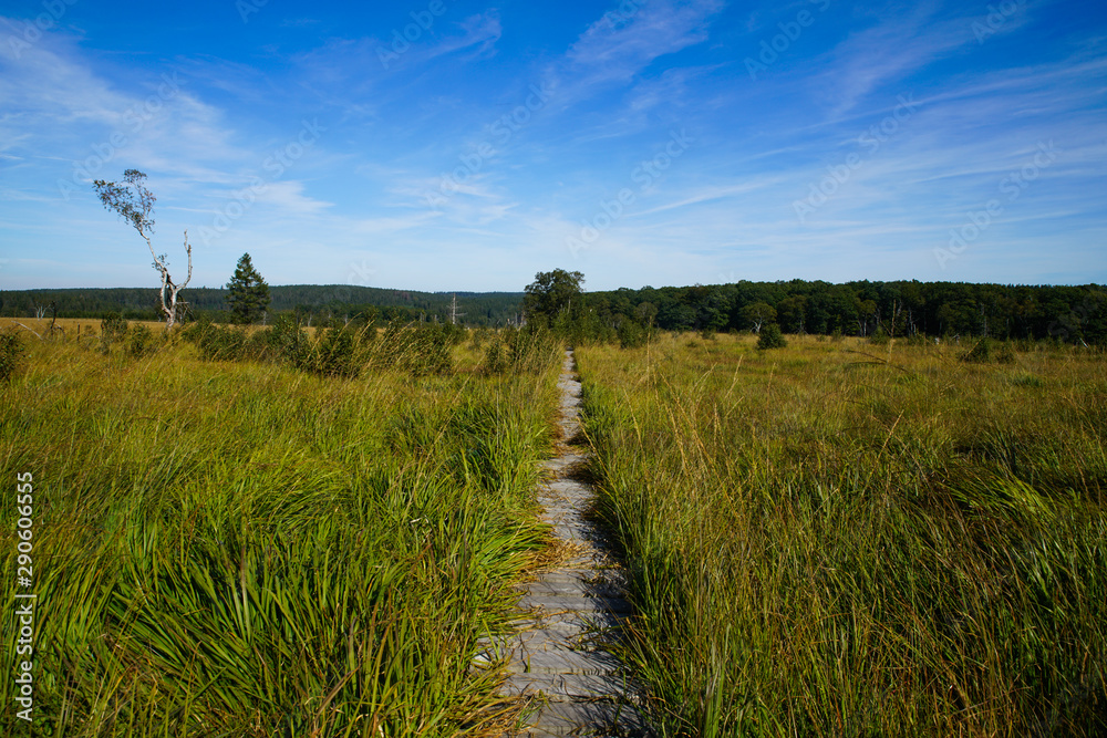 High fens Belgium hiking