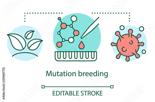 Mutation breeding concept icon. Genetic engineering. Obtaining mutagenic species. Artificial selection idea thin line illustration. Vector isolated outline drawing. Editable stroke