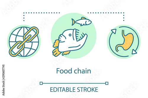 Food chain concept icon. Order of predation. Food web. Keystone species. Global ecosystem. Trophic level. Ecological model idea thin line illustration. Vector isolated outline drawing. Editable stroke