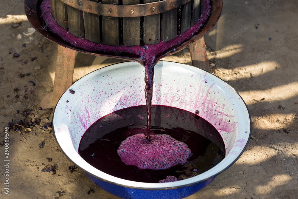 Winepress with red must and helical screw. Traditional old technique of wine making. Filtering grape must. Winepress with red must and helical screw. Traditional old technique of wine making. Filtering grape must.