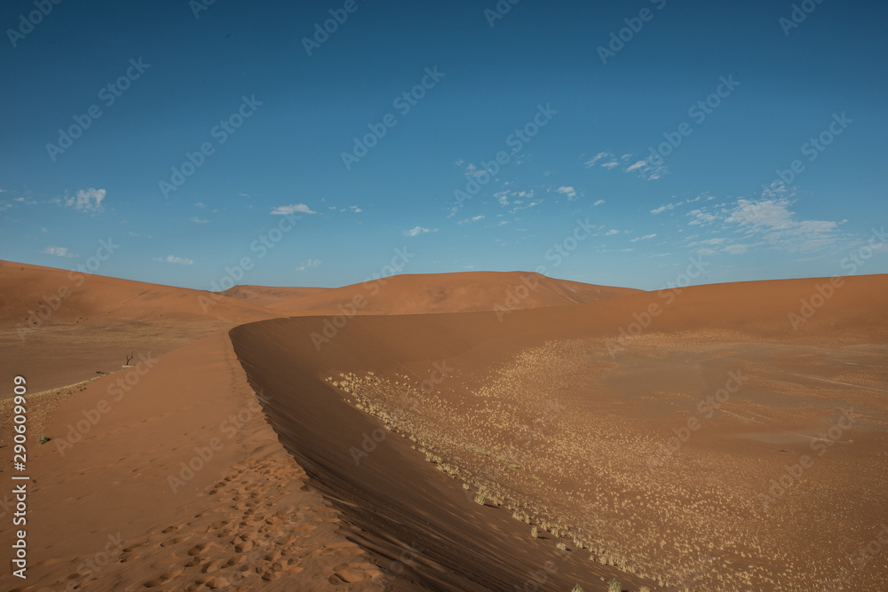 namibian desert namibian desert