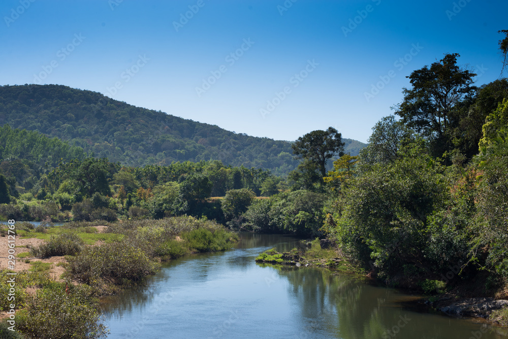 river in the rain forest river in the rain forest
