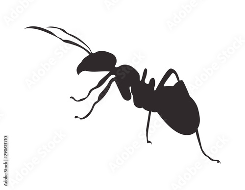 Silhouette ant on white background. Vector icon.