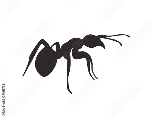 Silhouette ant on white background. Vector icon.