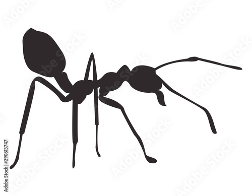 Silhouette ant on white background. Vector icon.