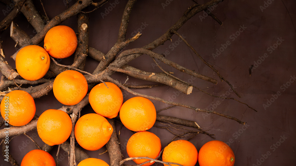 oranges still life