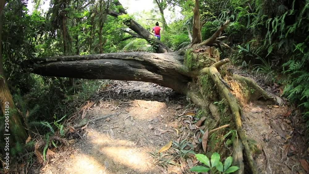 Aerial view of sportswoman ultramarathon runner running in tropical rainforest ,jumping over fallen tree logs Aerial view of sportswoman ultramarathon runner running in tropical rainforest ,jumping over fallen tree logs