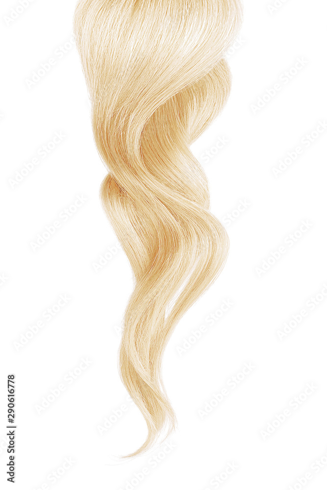 Blond hair, isolated on white background Blond hair, isolated on white background