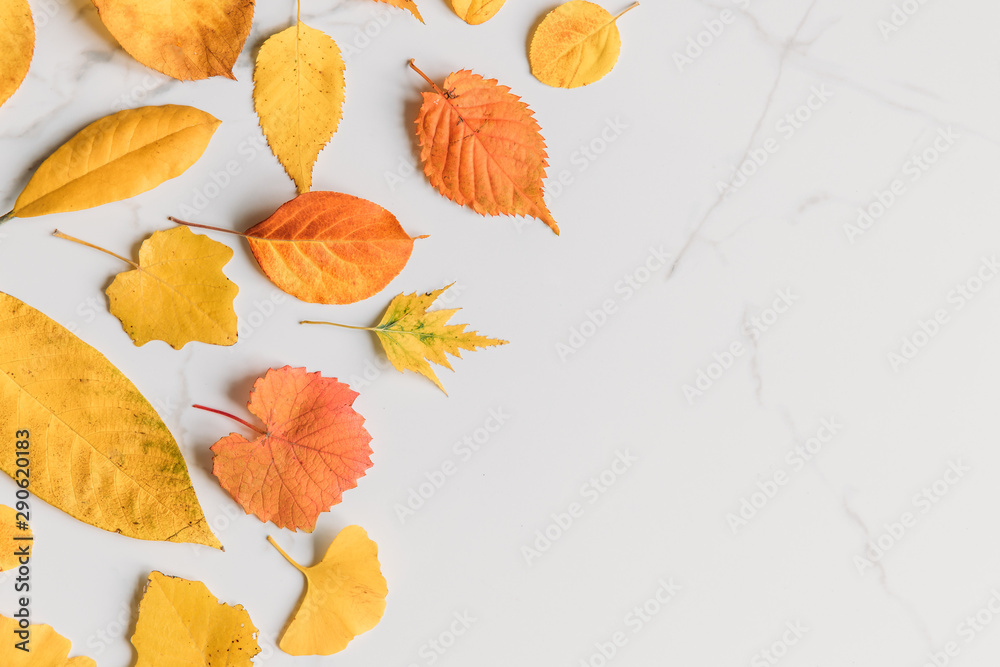 Autumn composition of dry coloured yellow leaves on white marble background, flat lay, top view. Fall concept. Autumn composition of dry coloured yellow leaves on white marble background, flat lay, top view. Fall concept.
