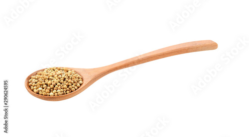 Coriander seeds in spoon isolated on white background