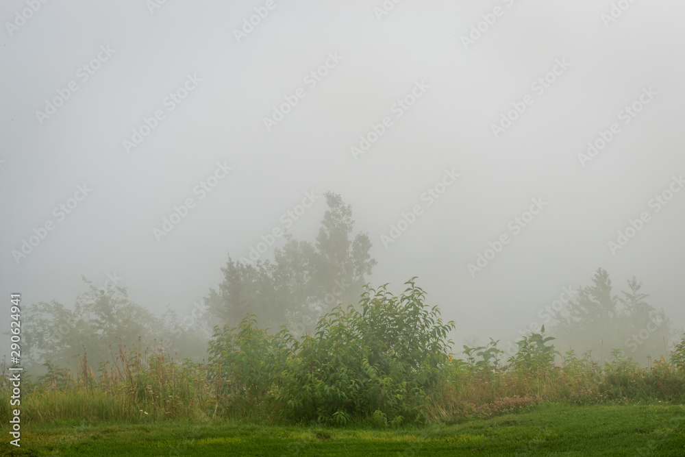 Obraz premium Foggy day by the St-Laurent river, golf field 