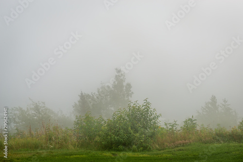 Foggy day by the St-Laurent river, golf field 