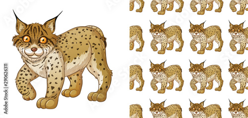 Seamless and isolated animal pattern cartoon