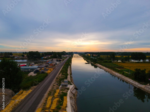 Wallpaper Mural Mature rice in the field Torontodigital.ca