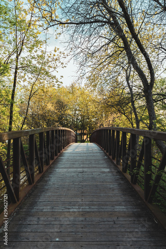 wooden bridge in the park