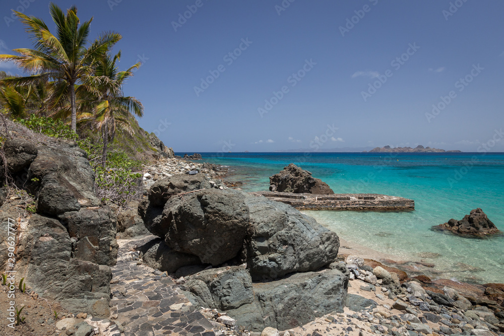 A beautiful rocky beach with azure waters and palm trees in the Caribbean