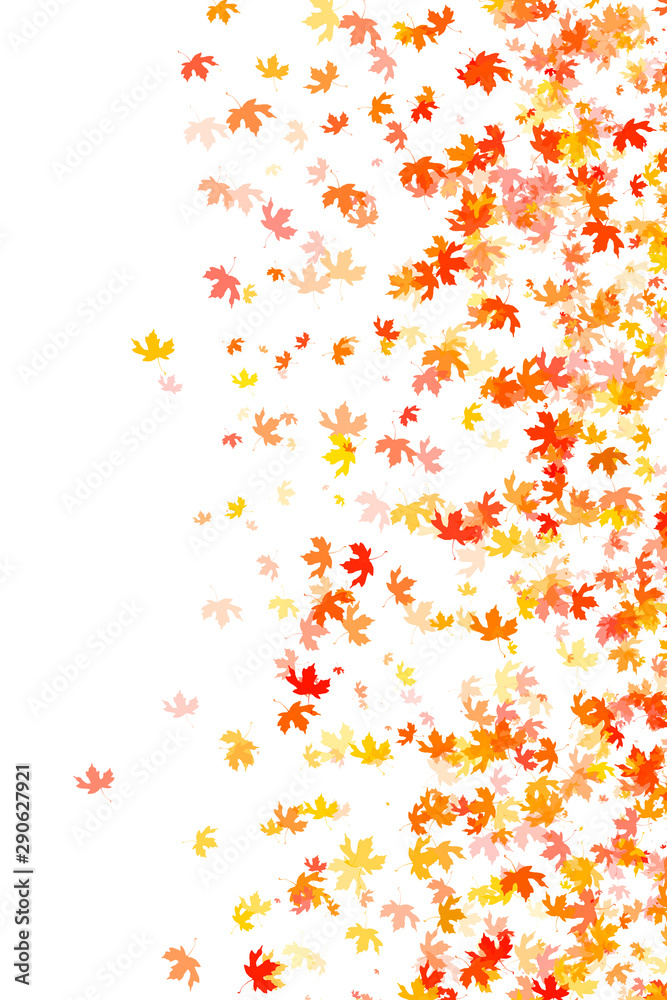 Multi colored autumn leaves background
