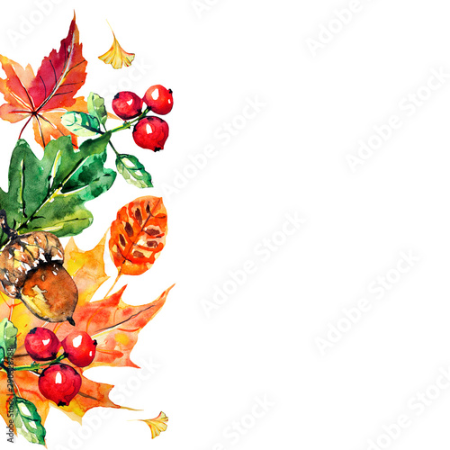 red autumn, autumn leaves , watercoloron a white