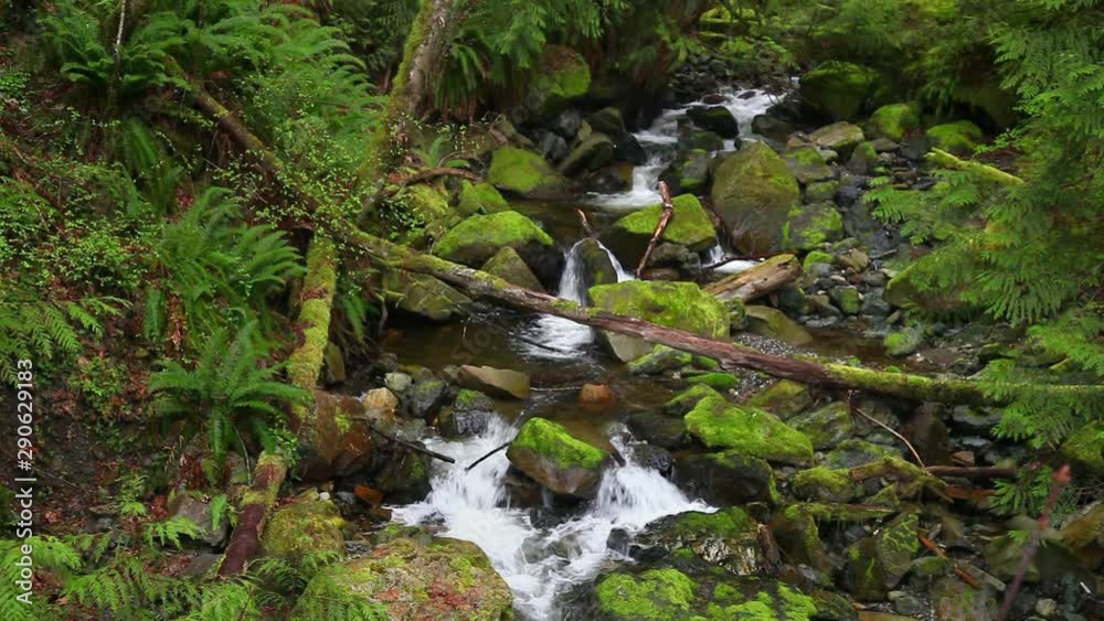 A small creek cascading over rocks in the Pacific Northwest near Bellingham, WA and Mt. Baker A small creek cascading over rocks in the Pacific Northwest near Bellingham, WA and Mt. Baker