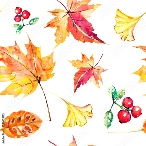 red autumn, autumn leaves , watercoloron a white