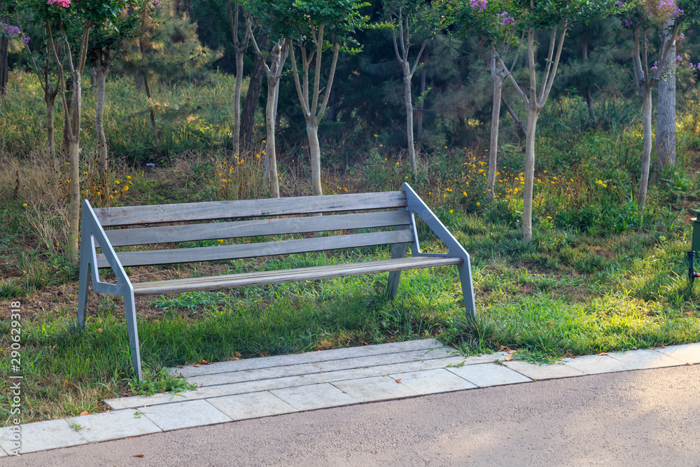 A bench in the park lawn