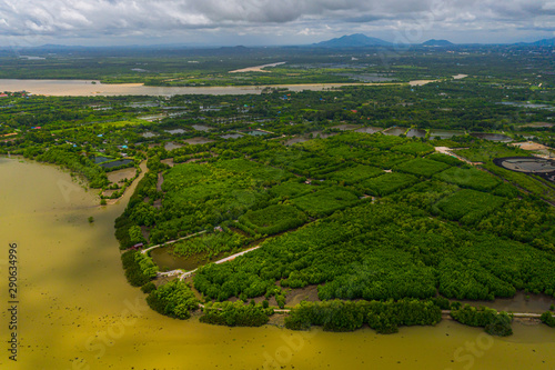 Aerial view of mangroves along the estuary in Chantaburi province, Thailand. photo