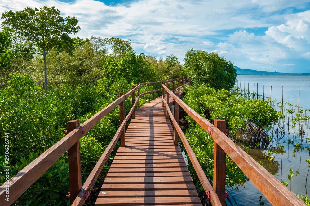 Obraz premium Mangrove Boardwalk in Tacloban, Leyte, Philippines