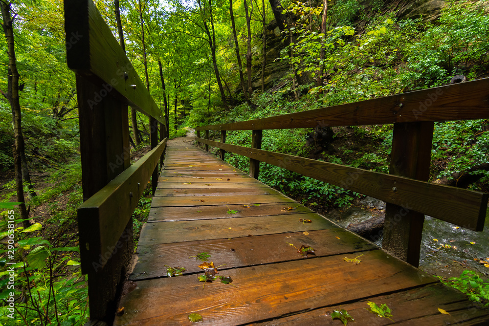 Obraz premium Wooden pathway