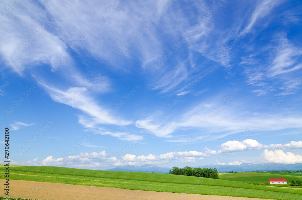 北海道 美瑛 青空と穀倉地帯 北海道 美瑛 青空と穀倉地帯