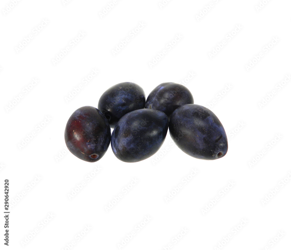 plum isolated on white background plum isolated on white background