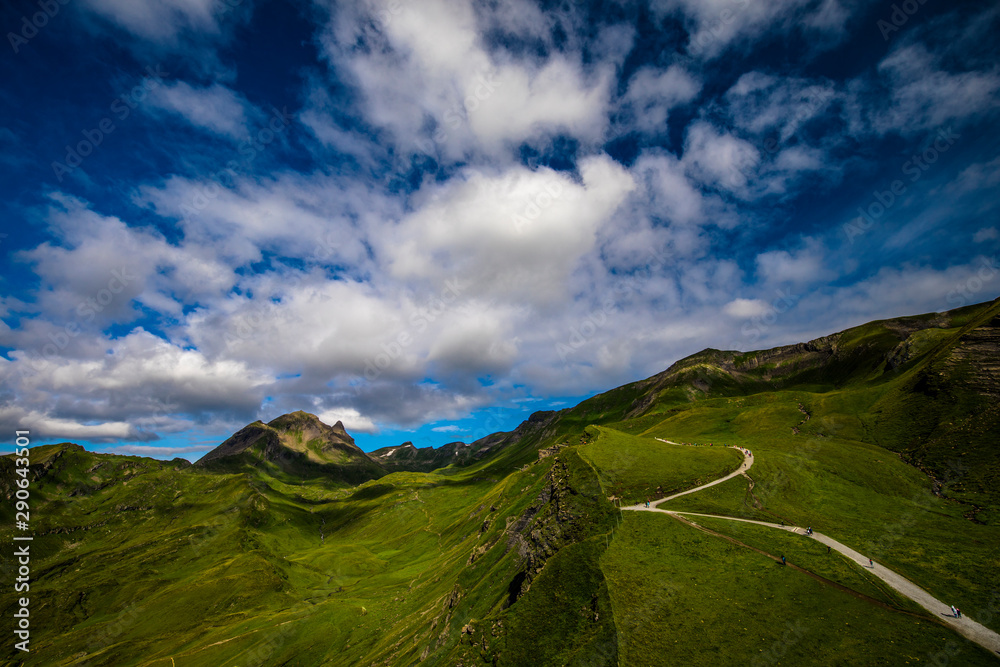 Obraz premium First to Bachalpsee