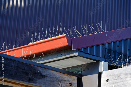 Bird protection on a rooftop