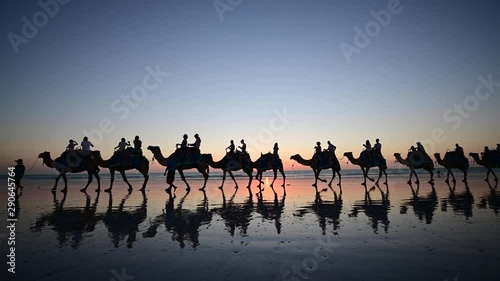 Silhouette of tourists on camel ride convoy on Cable Beach Broome Kimberley Western Australia in slow motion. photo