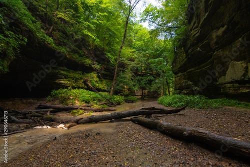 Kaskaskia Canyon photo