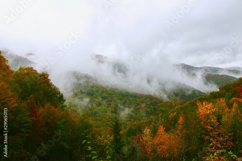 A foggy day in smoky mountain