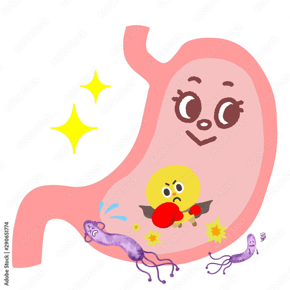胃の中のピロリ菌を撃退する キャラクターイラストセット Stock Illustration Adobe Stock