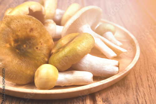 close up fresh mushrooms in a wooden bowl