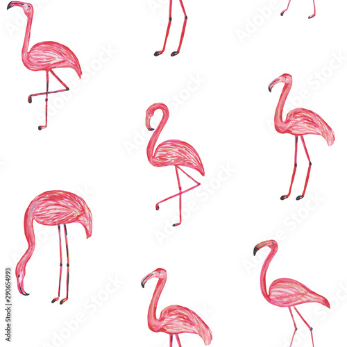 Pattern of different flamingos. Hand drawing illustration for prints and posters.